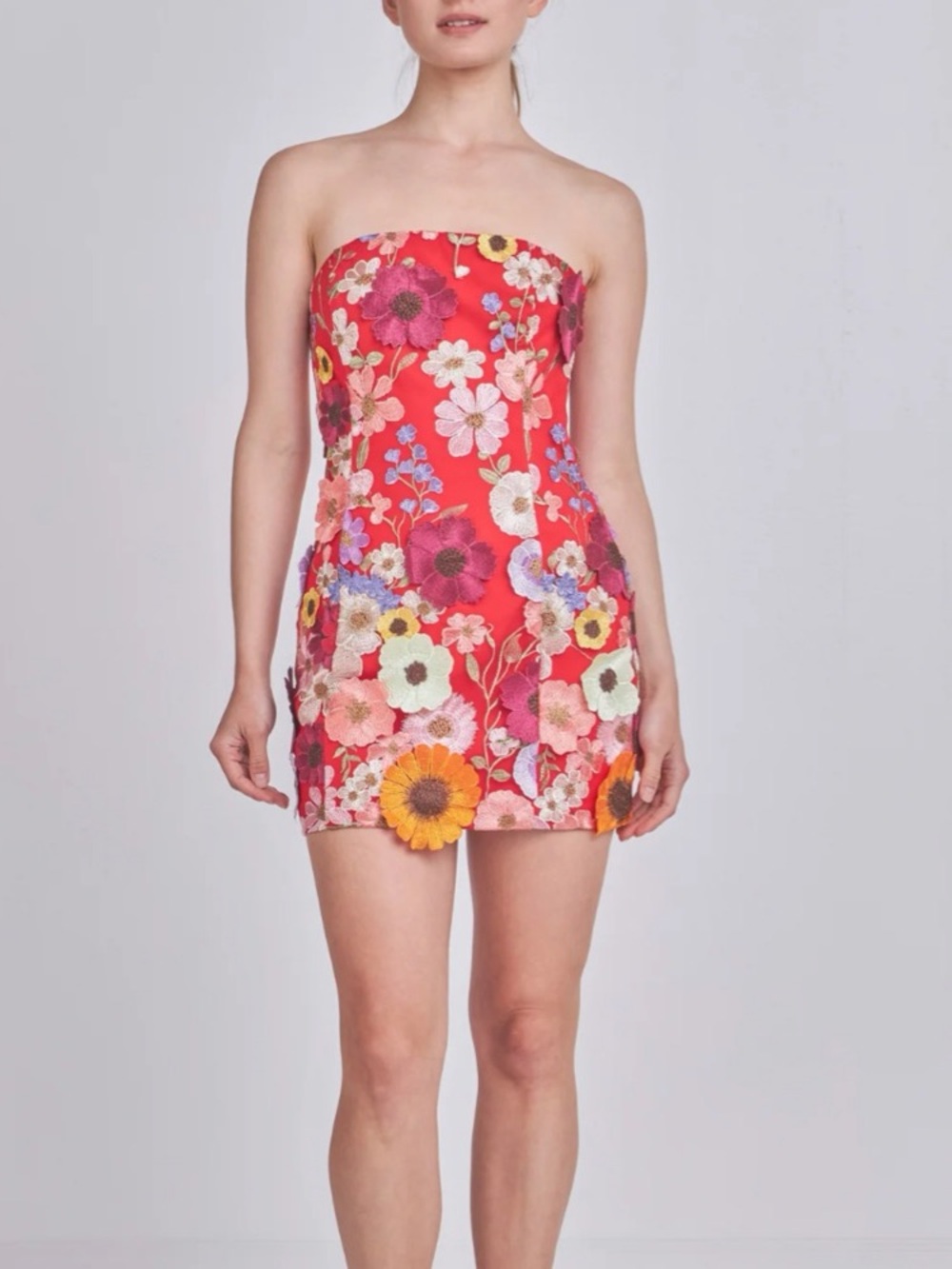 NWOT Strapless Floral Embroidered Mini Dress in Red Sz M